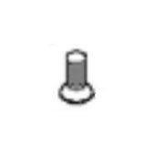 Screw Screw