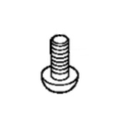 Screw Screw