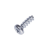 Sts-Screw T 40 X 12 Sts-Screw T 40 X 12