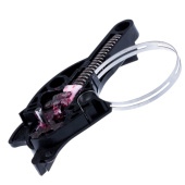 Kedjebroms Kedjebroms