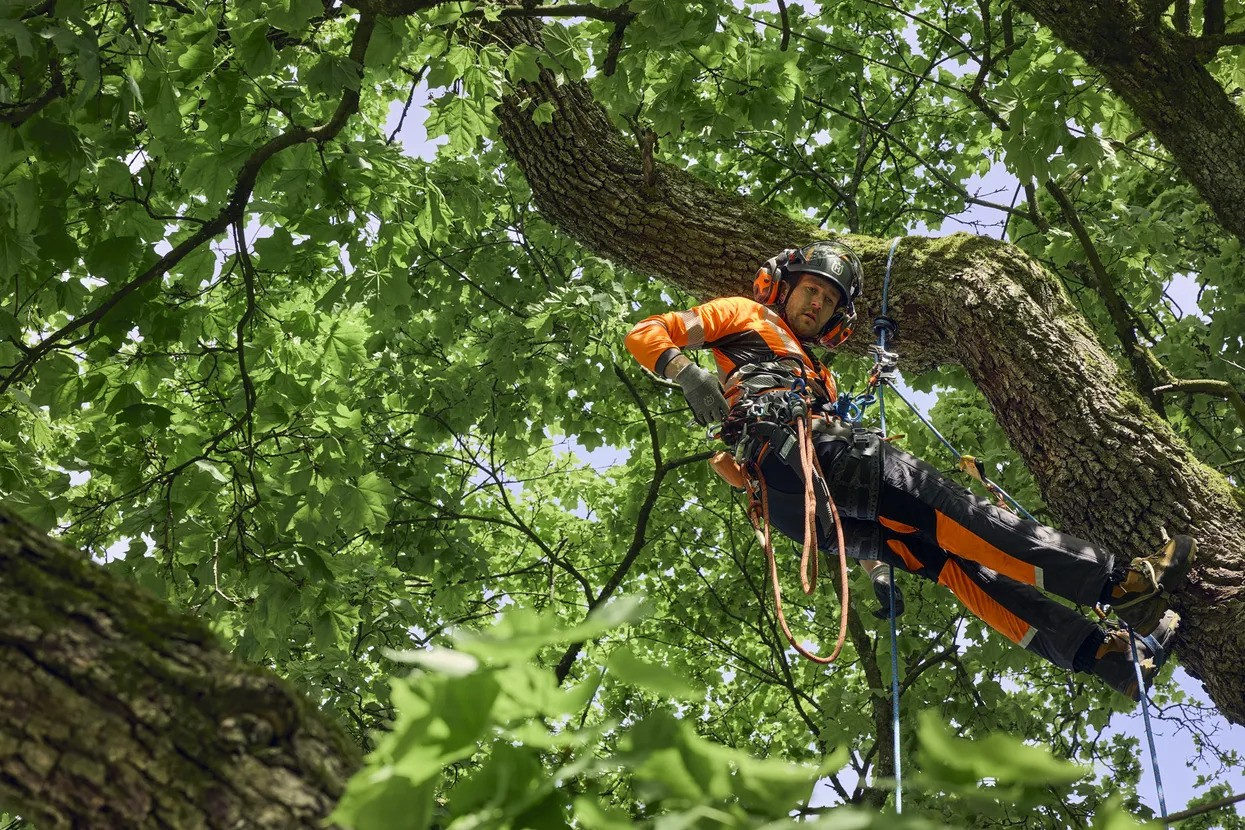 Husqvarna midjebyxa Technical Extreme Arborist
