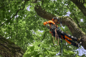 Husqvarna midjebyxa Technical Extreme Arborist Husqvarna midjebyxa Technical Extreme Arborist