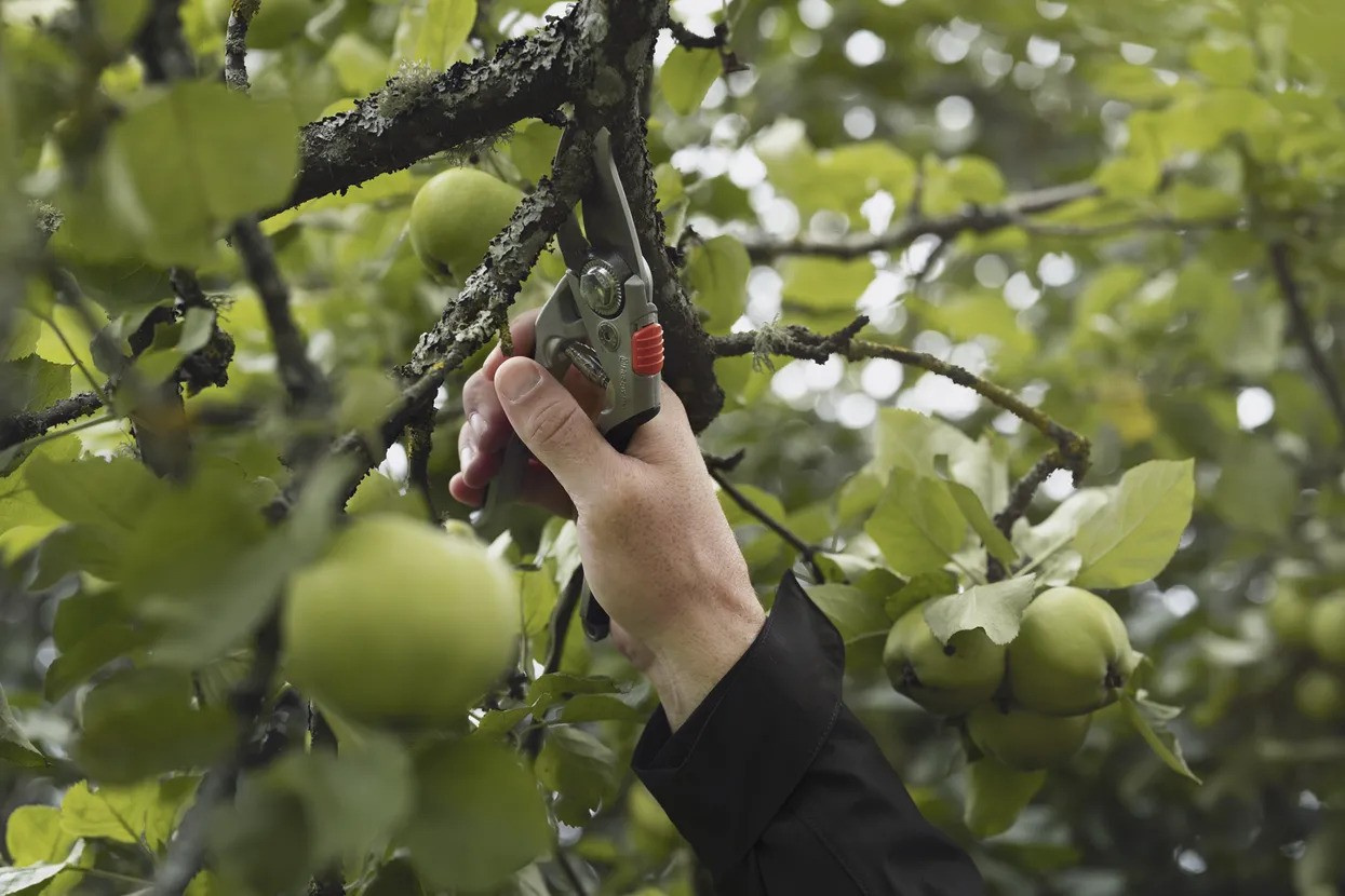 Husqvarna sekatör, Large