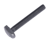 Screw Screw