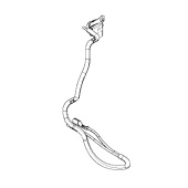 Kabel Kabel