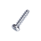 Screw Screw