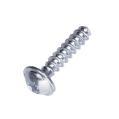 Screw Screw