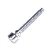 Screw Screw