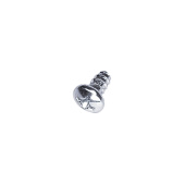 Screw Screw