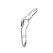 Arm Arm