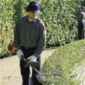 Husqvarna 525HF3S Stånghäcksax Husqvarna 525HF3S Stånghäcksax