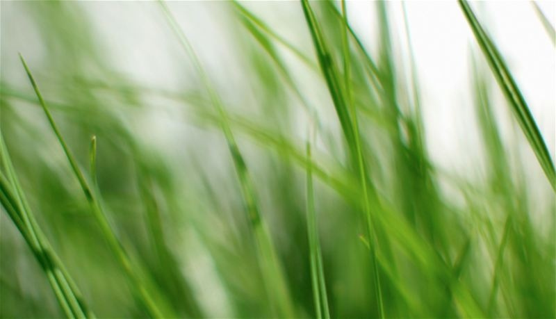 Klippo Pro 21 SH Classic Gräsklippare