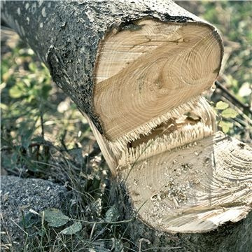 HUSQVARNA 530iPX Batteri stångsåg