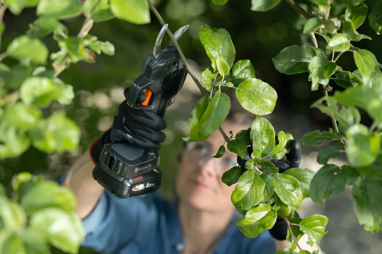 Husqvarna Aspire™ PS30X-P4A batteridriven sekatör