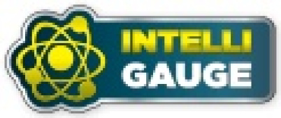 CHAMPION 2800W DUAL FUEL ELVERK MED EL-START